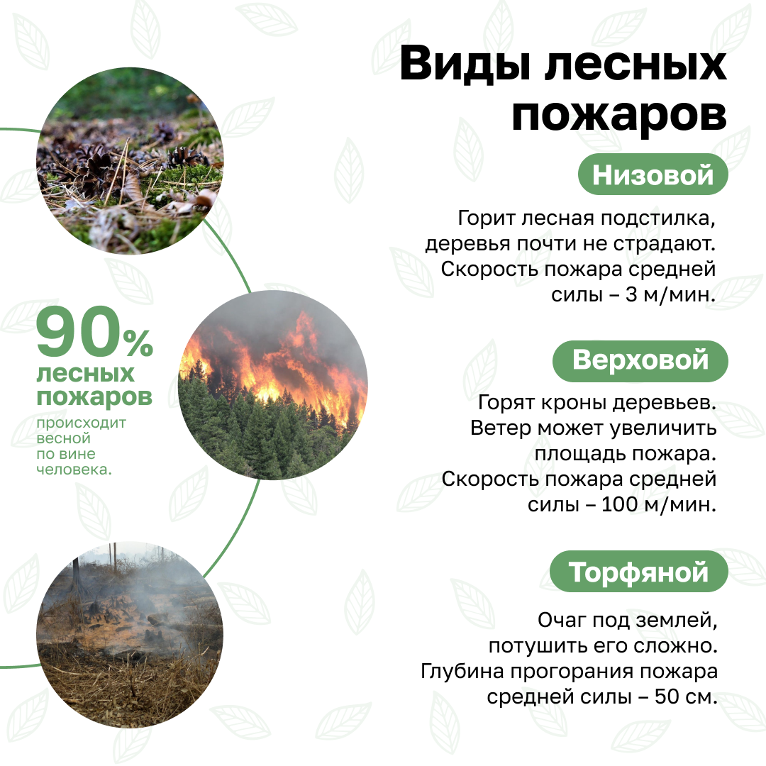 Берегите природу - соблюдайте правила пожарной безопасности!