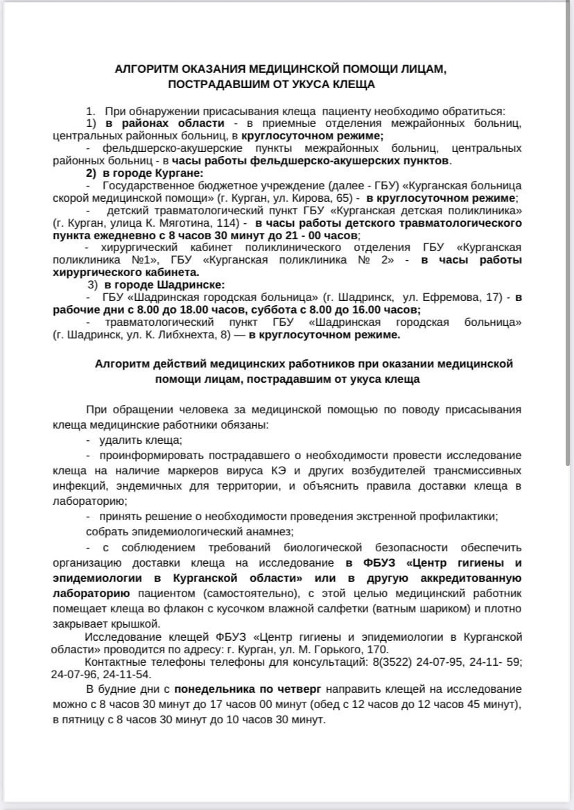 Что делать, если клещ все-таки укусил? 