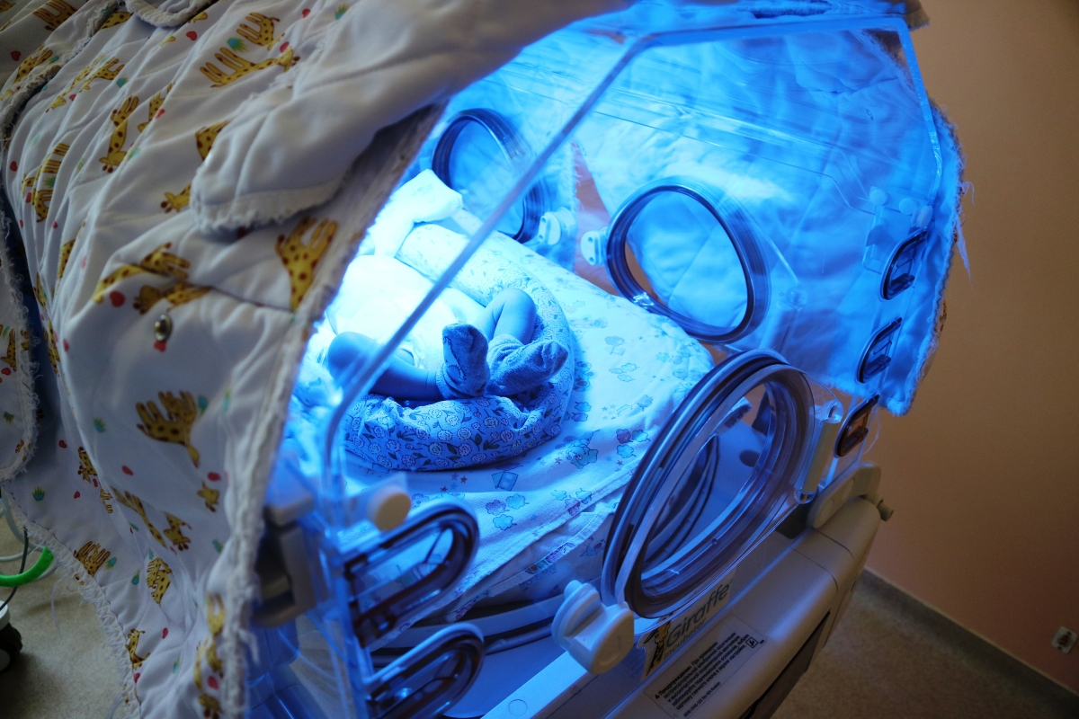 В Курганской области работают представители государственного педиатрического медицинского университета из Санкт-Петербурга