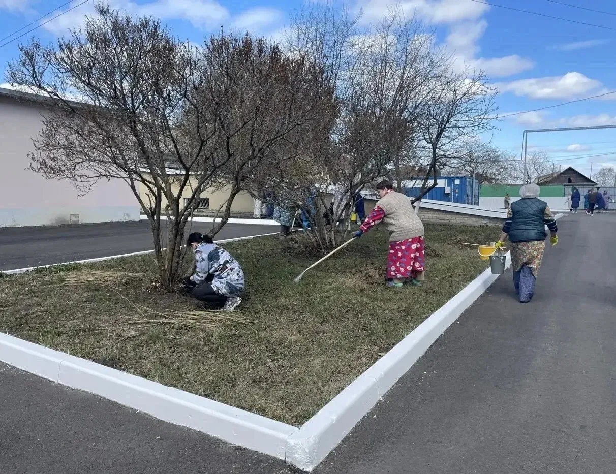 Коллективы медицинских организаций дружно и плодотворно продолжают уборку в рамках субботника.