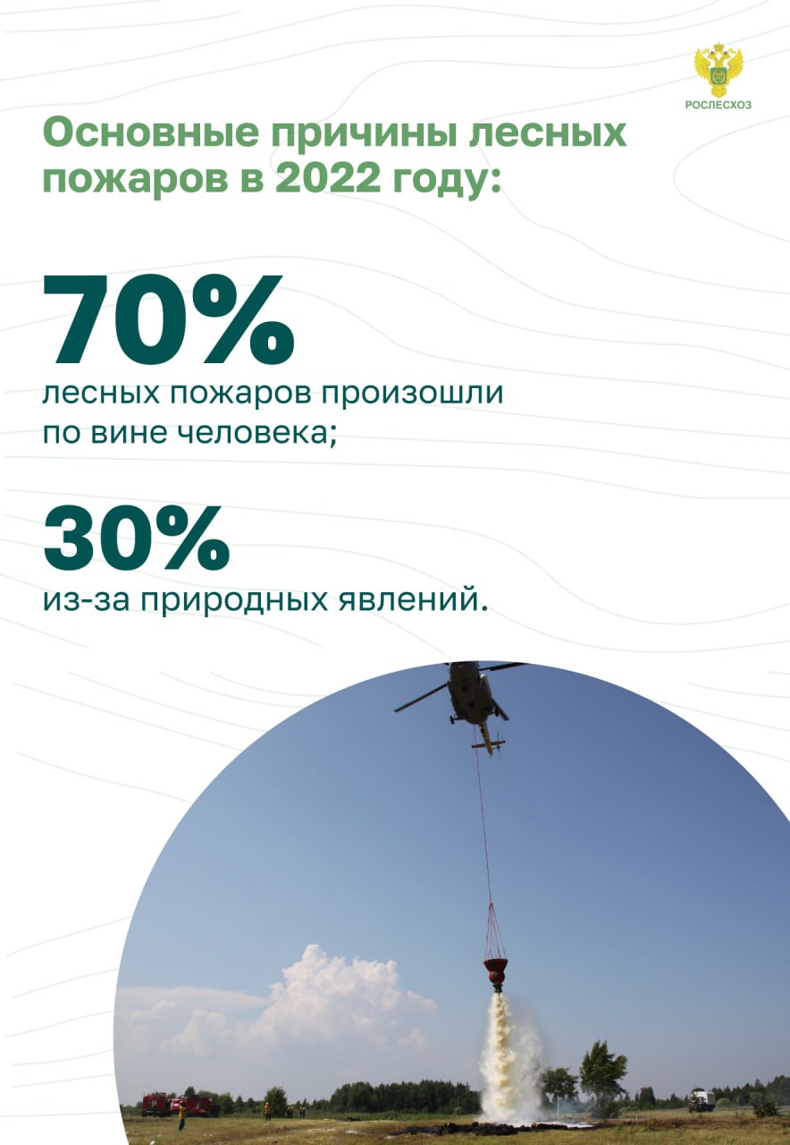 Пожарная безопасность в лесу. Основные правила.