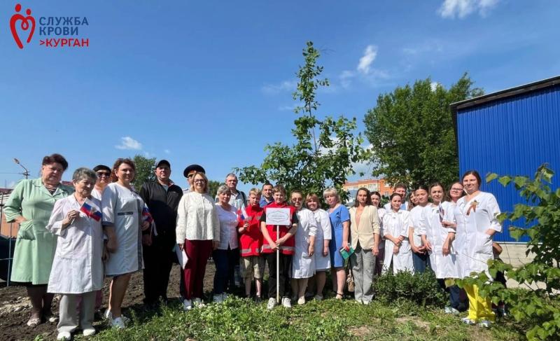 На территории Курганской областной станции переливания крови торжественно открыта «Аллея памяти»