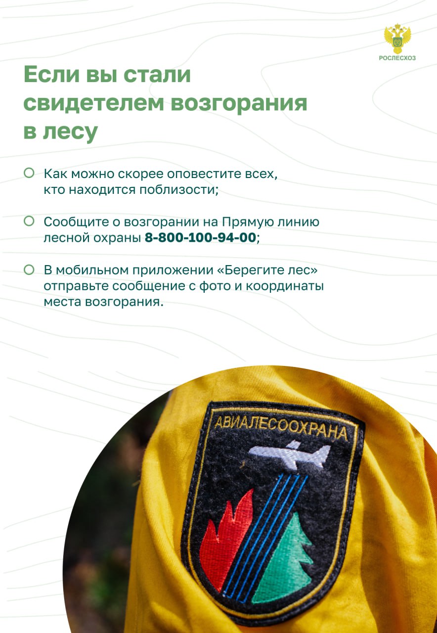 Пожарная безопасность в лесу. Основные правила.