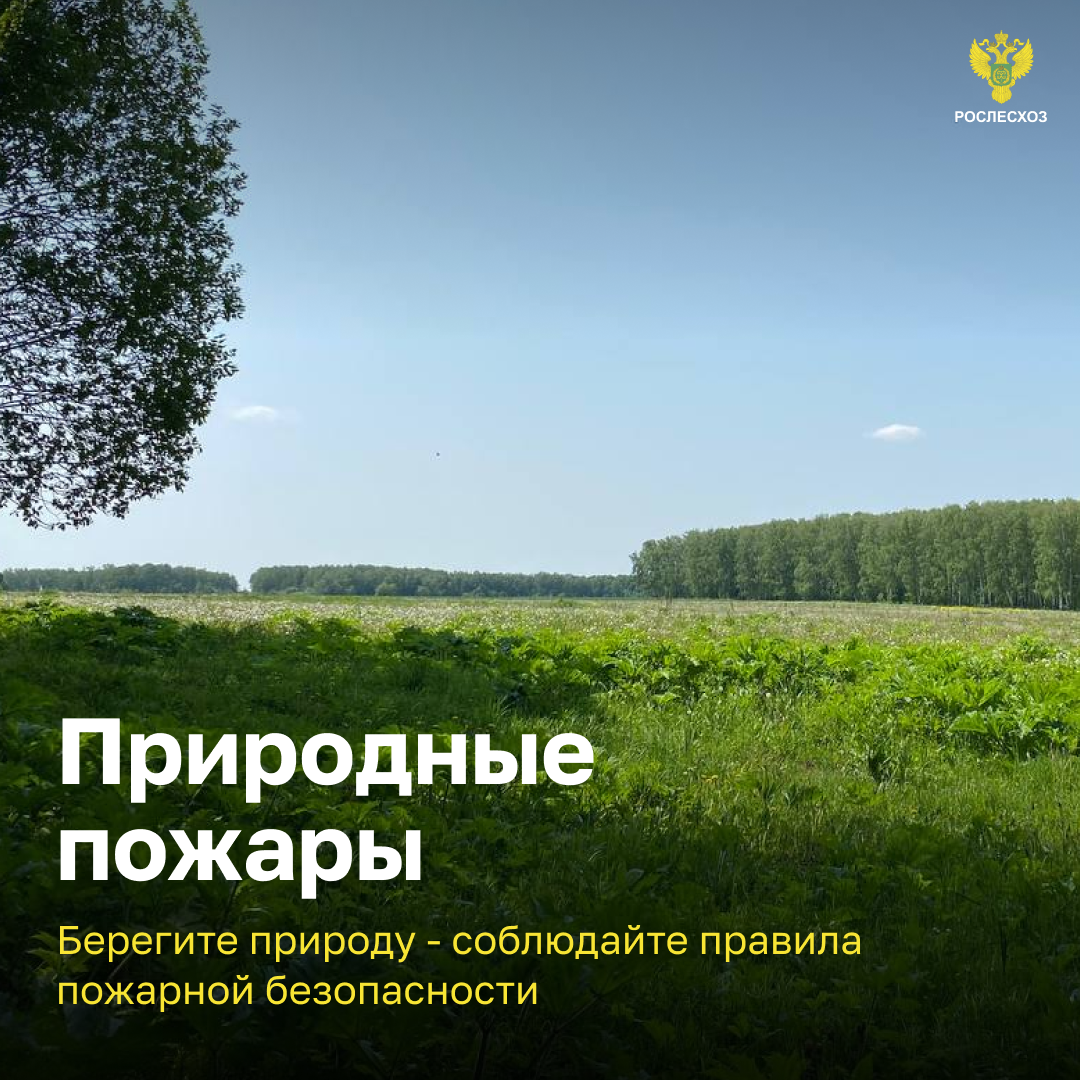 Берегите природу - соблюдайте правила пожарной безопасности!