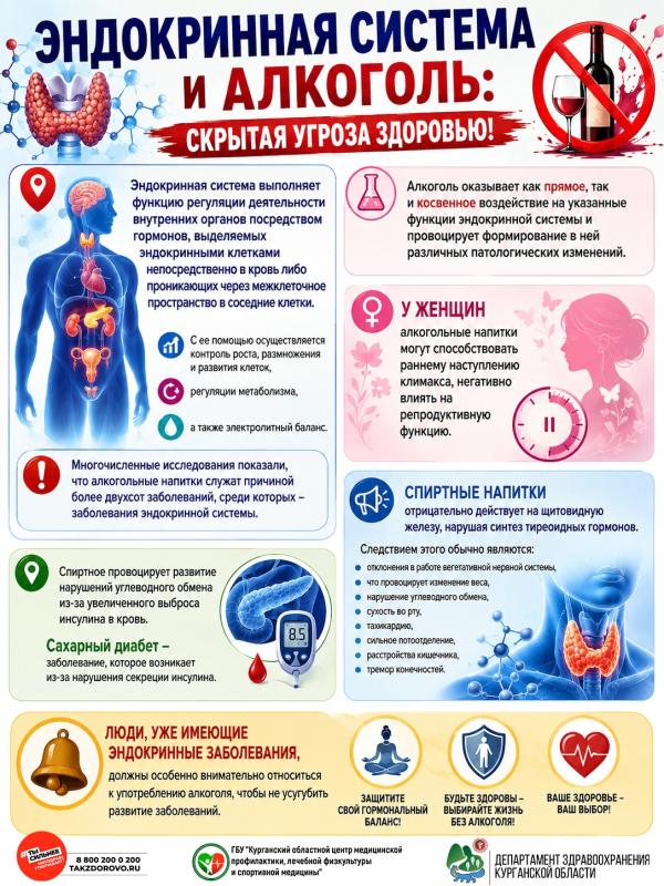 Эндокринная система и алкоголь: скрытая угроза здоровью! 