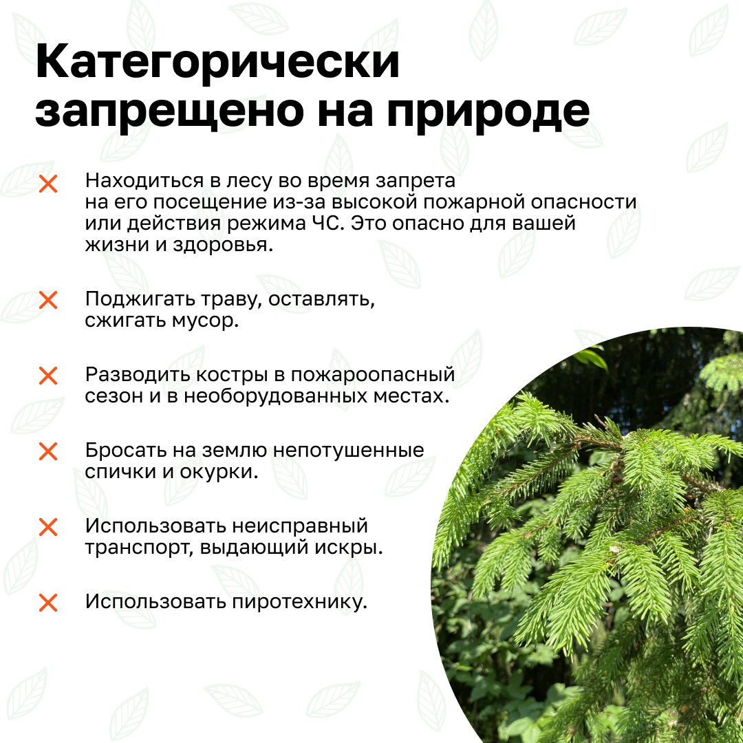 Пожарная безопасность.  Простыми словами о правилах пожарной безопасности в лесах и ответственности.