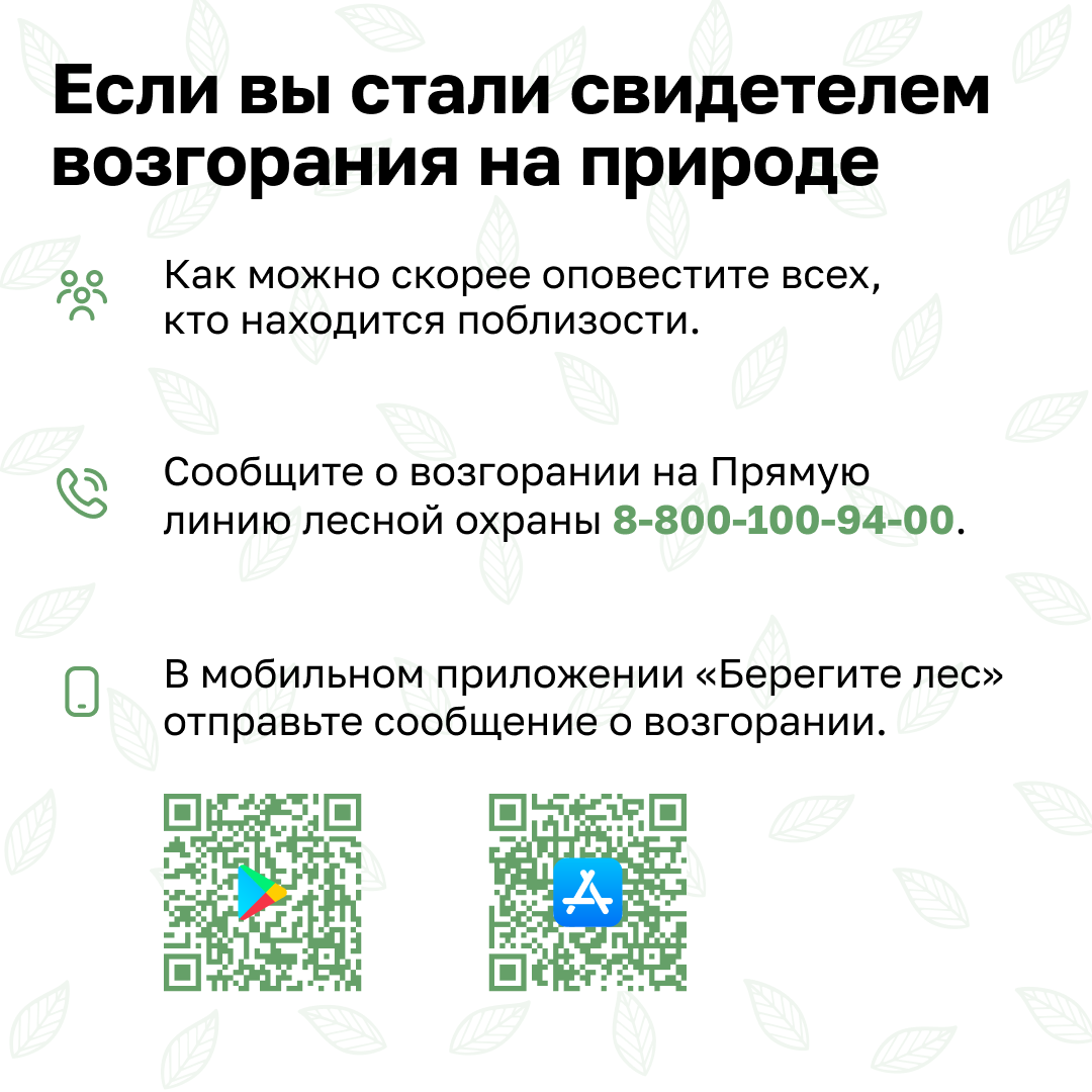 Пожарная безопасность.  Простыми словами о правилах пожарной безопасности в лесах и ответственности.