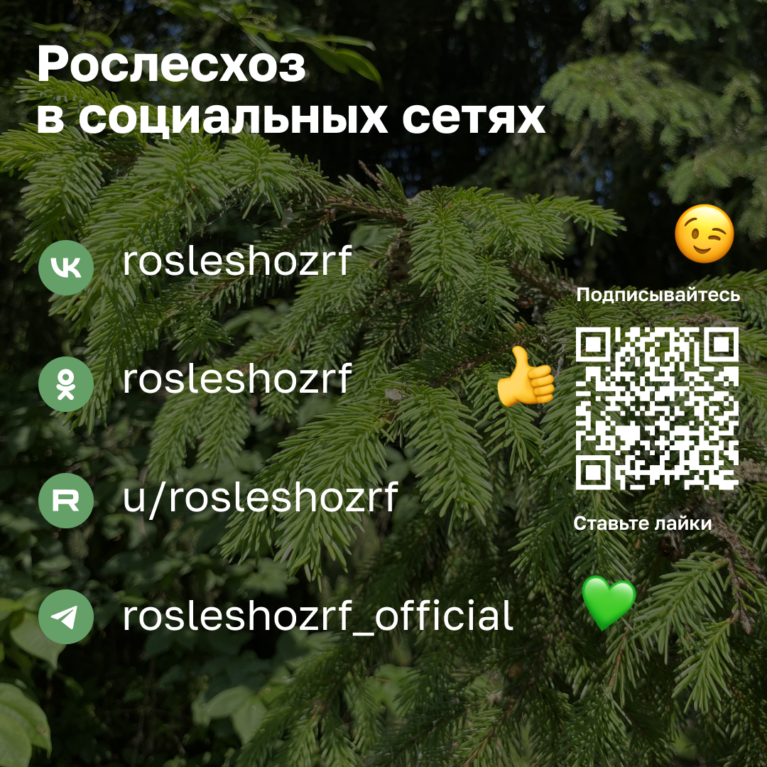 Берегите природу - соблюдайте правила пожарной безопасности!