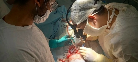 В 2025 году в Курганской областной клинической больнице открылось отделения челюстно-лицевой хирургии.