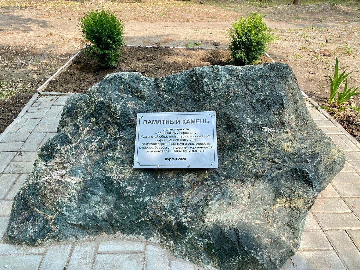 Сотрудники Курганской областной специализированной инфекционной больницы совместно со студентами Курганского базового медицинского колледжа приняли участие в посадке деревьев