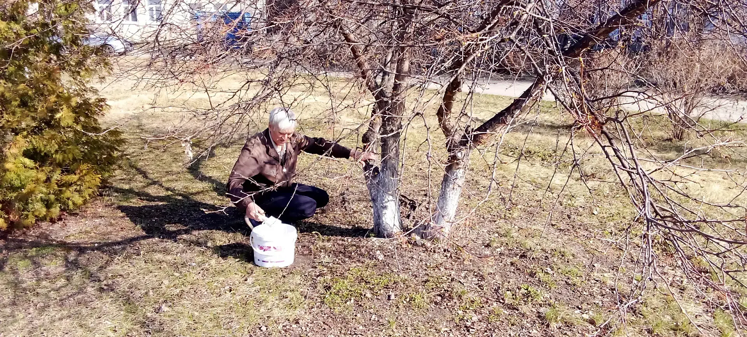 Коллективы медицинских организаций дружно и плодотворно продолжают уборку в рамках субботника.