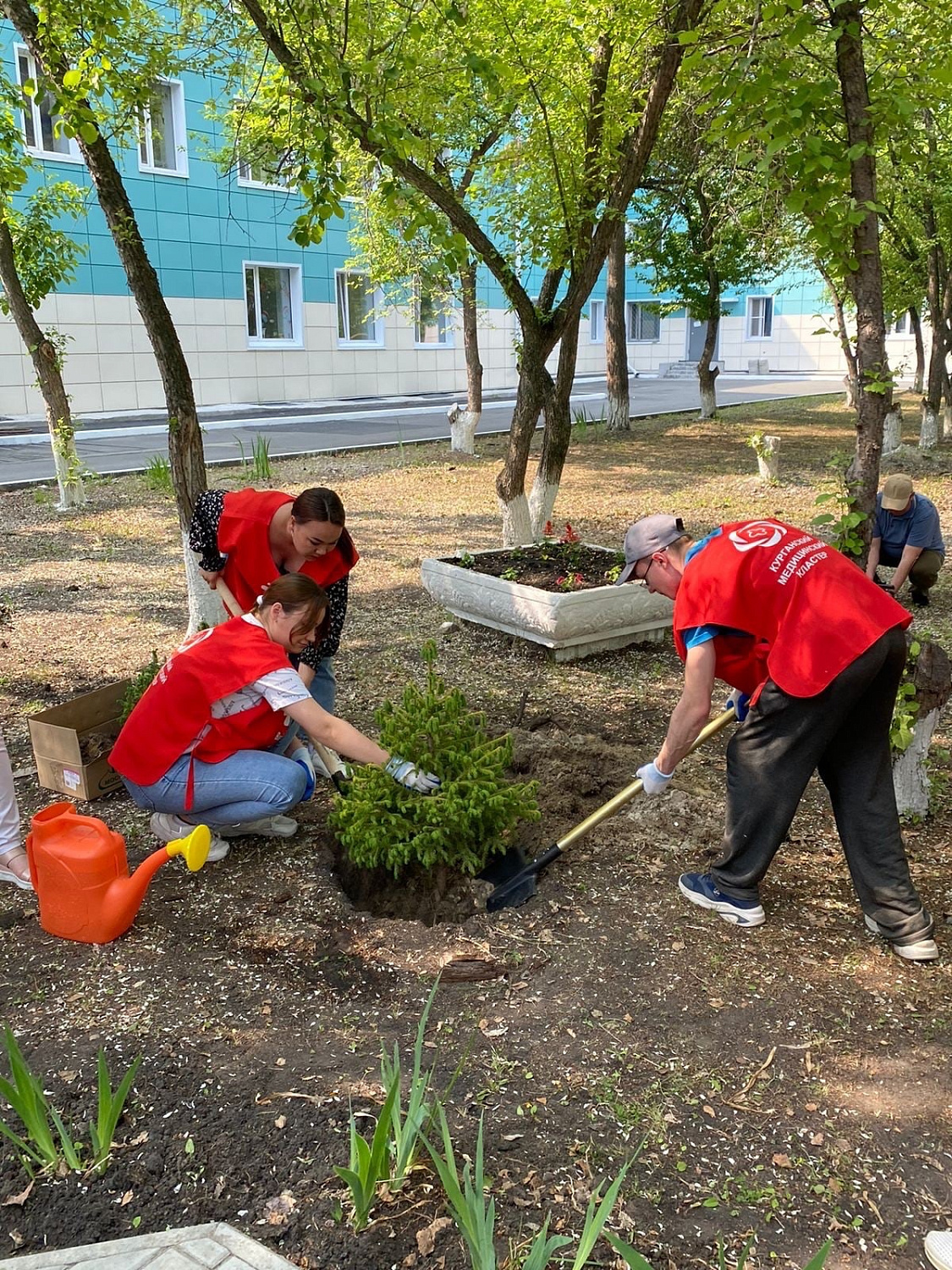 Сотрудники Курганской областной специализированной инфекционной больницы совместно со студентами Курганского базового медицинского колледжа приняли участие в посадке деревьев