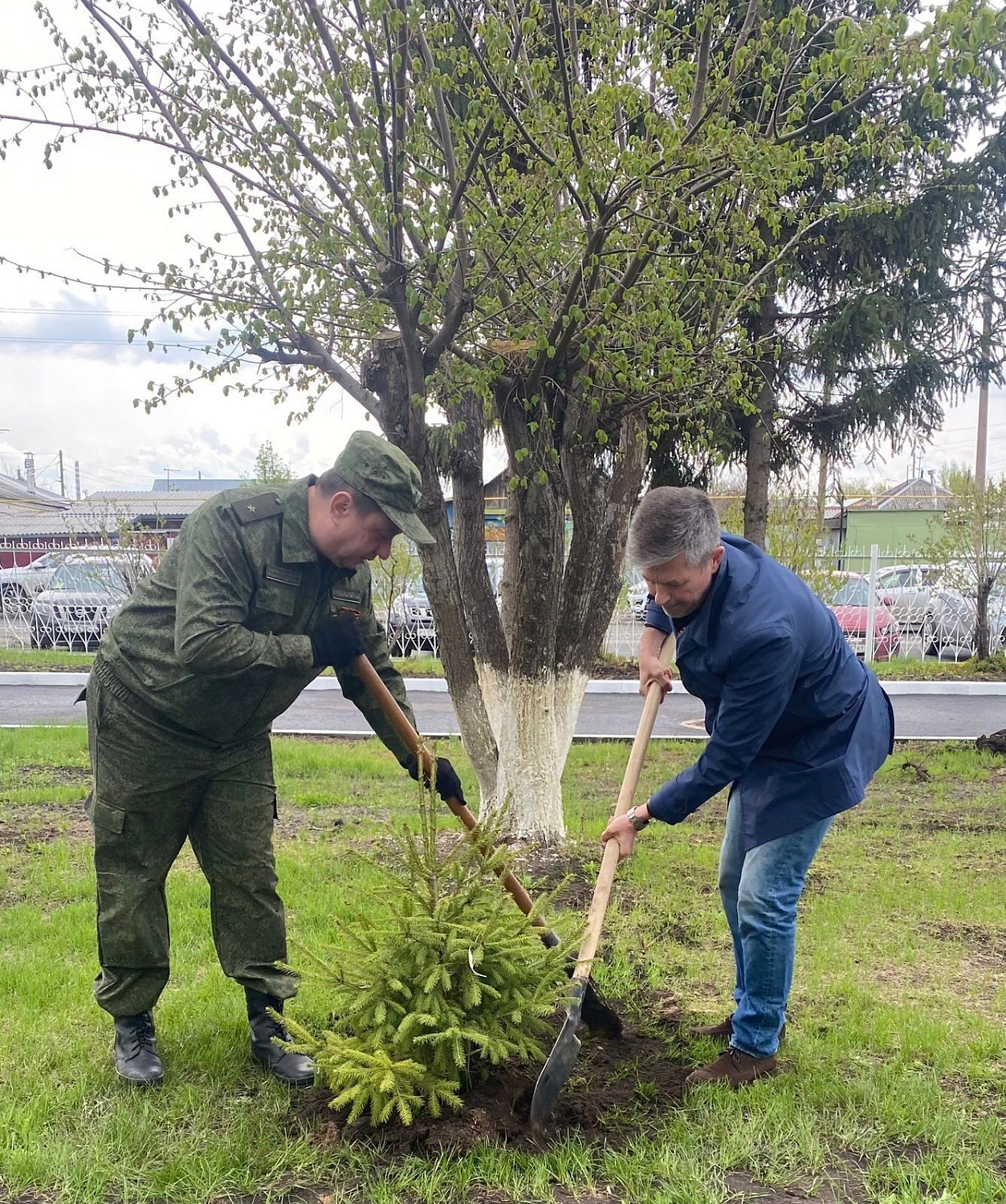 Сегодня, 3 мая, на территории Курганского областного госпиталя для ветеранов войн состоялась посадка елей 